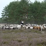 Apartmán Schwalbennest Trebel