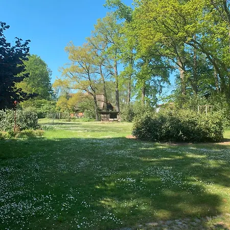 Schwalbennest Apartmán *