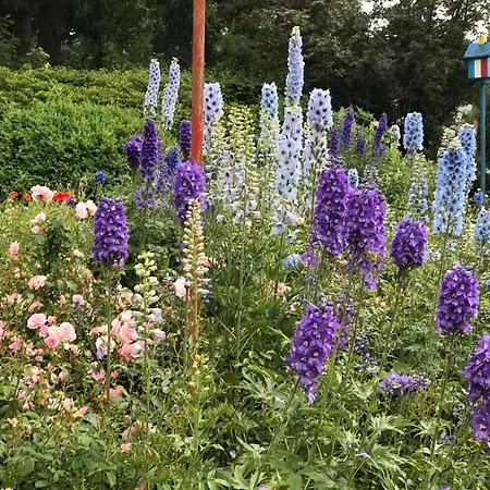 Schwalbennest * Trebel