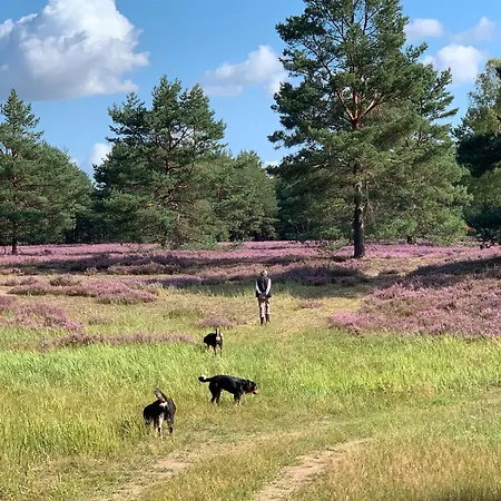 Apartmán Schwalbennest