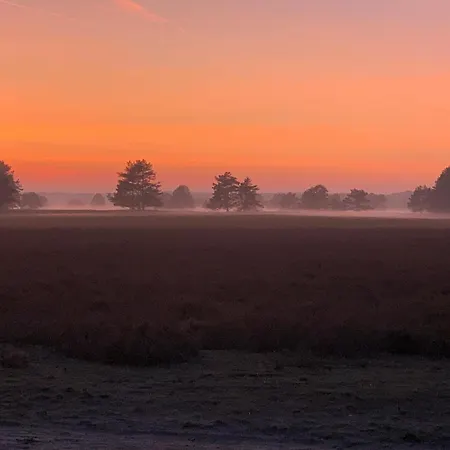 Schwalbennest * Trebel