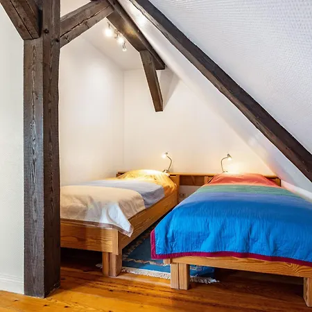 Schwalbennest Trebel