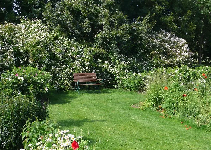 Schwalbennest * Trebel