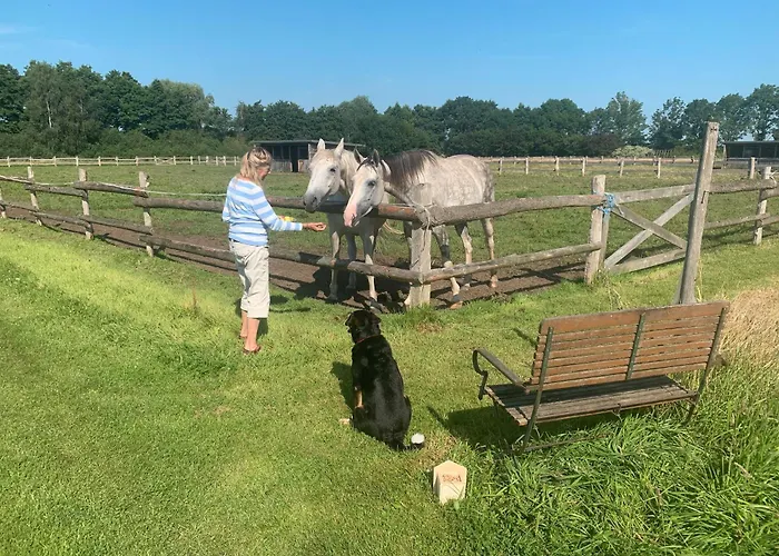 Lägenhet Schwalbennest *