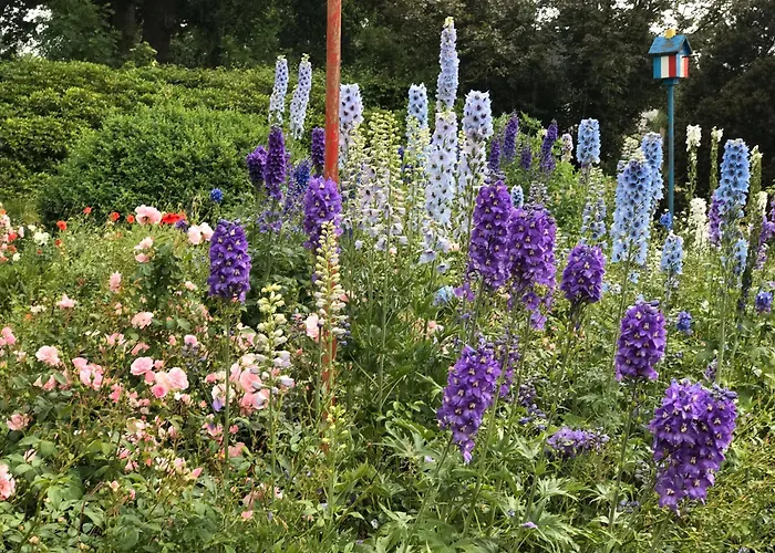 Schwalbennest * Trebel