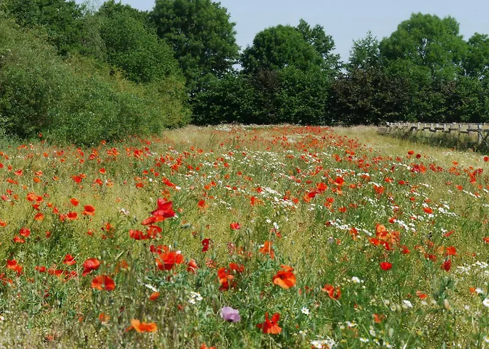 Lägenhet Schwalbennest *