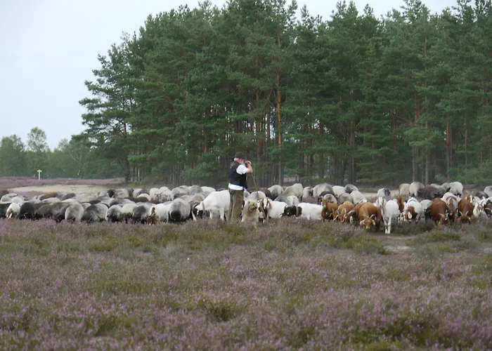 Lägenhet Schwalbennest Trebel