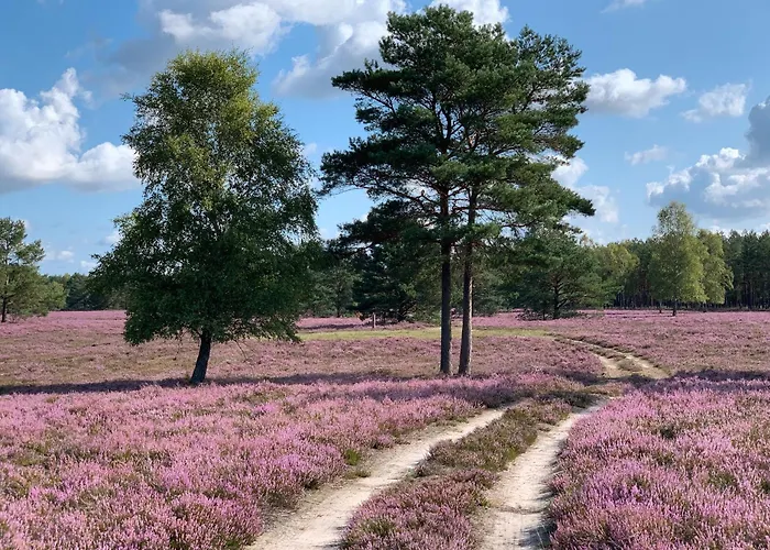 Schwalbennest Trebel