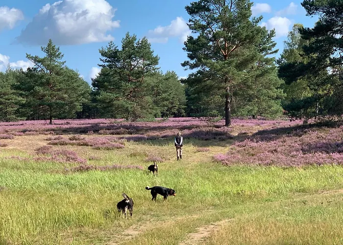 Lägenhet Schwalbennest