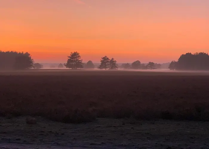 Schwalbennest * Trebel